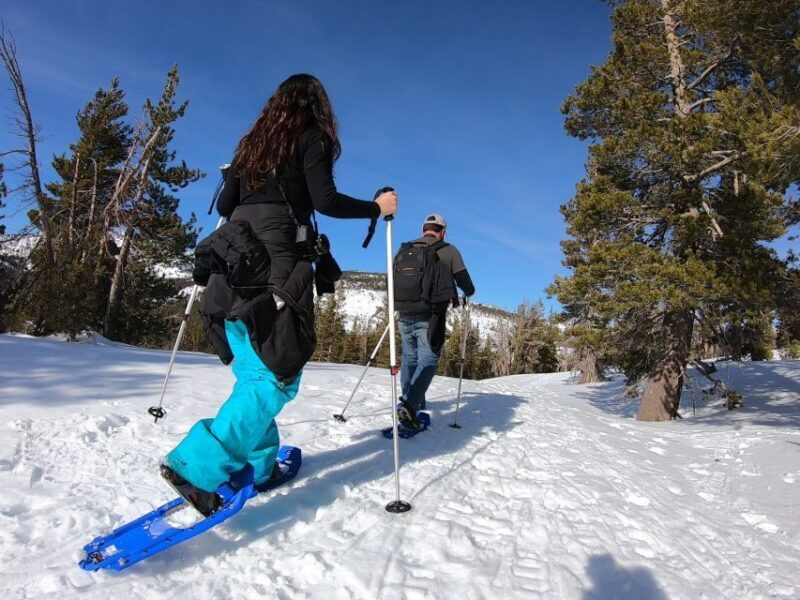 Lake Tahoe: Sunset Snowshoe Trek with Hot Drinks and Snacks - What’s Included in the Tour?