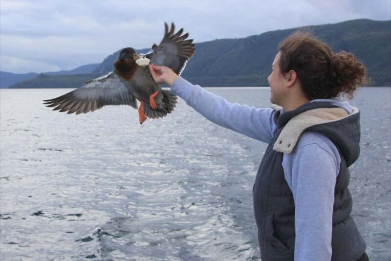 Lake Taupo: Maori Rock Carvings 10.30 AM 1.5-Hour Cruise - The Sum Up