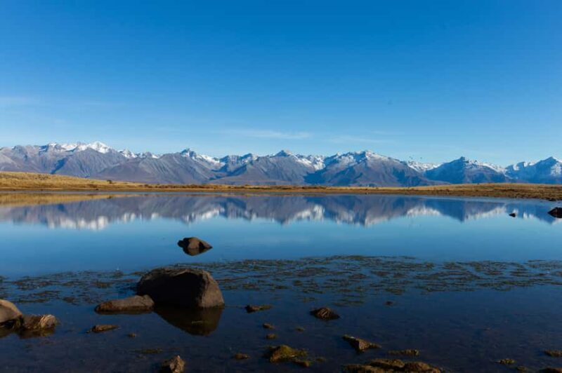 Lake Tekapo High Country Farm Tour (Carbon Positive) - Fun, Laughter, and Authenticity