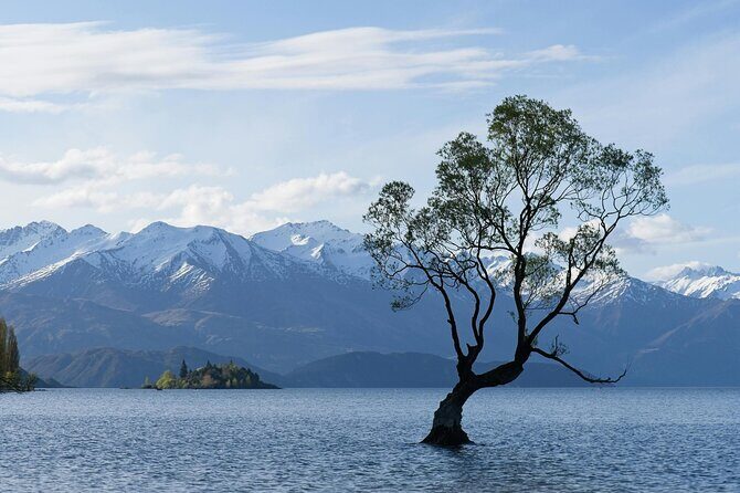 Lake Tekapo Private Day Trip from Queenstown - A Closer Look at the Itinerary