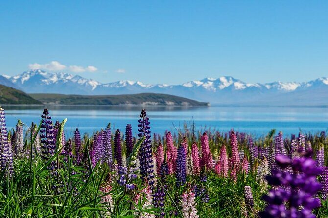 Lake Tekapo to Mt Cook One-Way Small Group Tour - Lake Tekapo to Mt Cook One-Way Small Group Tour: A Detailed Review