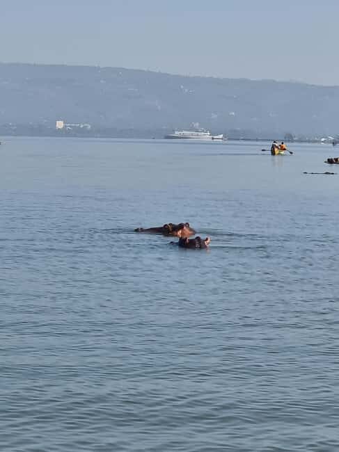 Lake Victoria Boat Ride, Birds Watching and Hippo Watching. - Key Points
