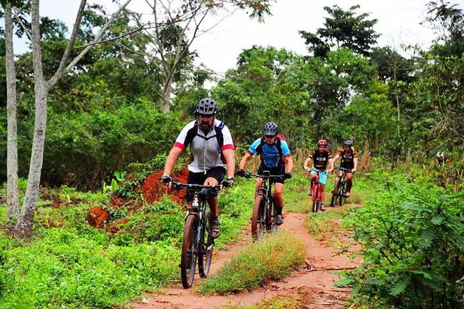 Lake Victoria Island Cycling Tour from Kampala - An Inside Look at the Tour Itinerary