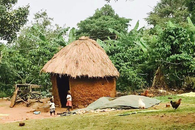 Lake Victoria Island Cycling Tour from Kampala - How the Experience Feels