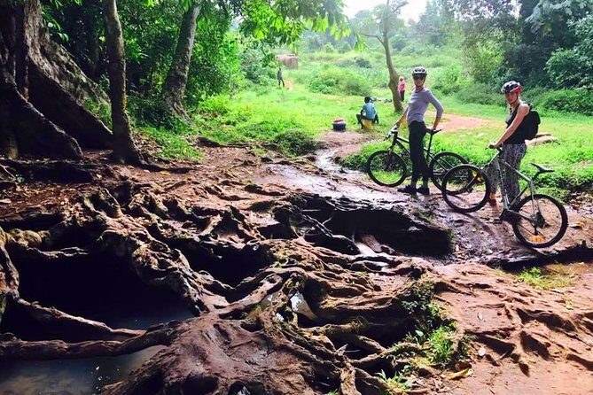 Lake Victoria Island Cycling Tour from Kampala - The Experience’s Strengths