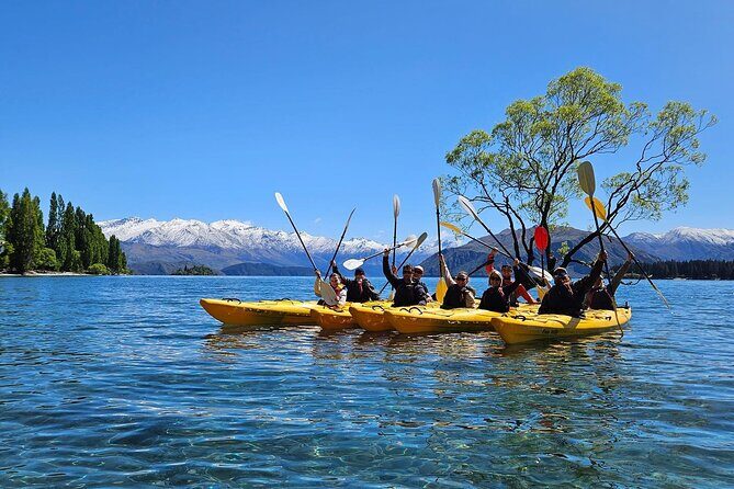 Lake Wanaka Roy's Bay Kayak Tour - Key Points