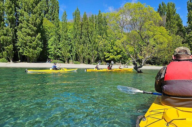 Lake Wanaka Roy's Bay Kayak Tour - What Past Participants Say (Based on reviews)