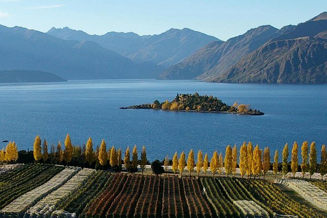 Lakeland Jet Ski Adventure Tour - Lake Wanaka - Potential Drawbacks to Consider