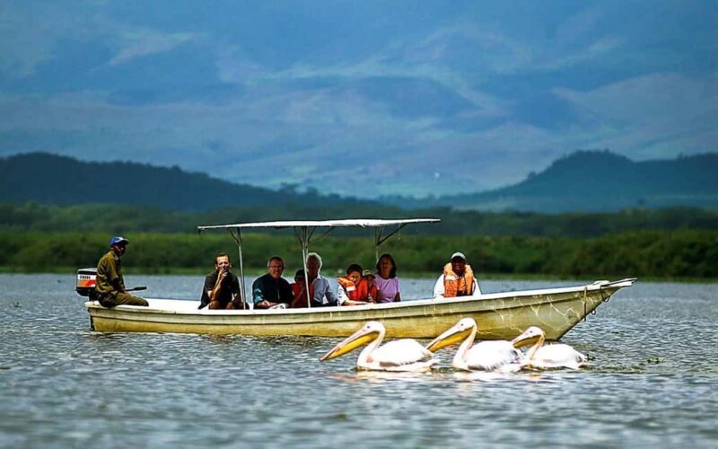 Lakes Nakuru& Naivasha National Park Wildlife Highlights - Authentic Experiences and Traveler Feedback