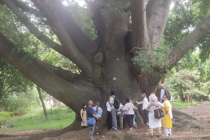 Lalbagh Botanical Garden Early Morning Walk + Breakfast at MTR - Ending at the Main Gate & Transition to Breakfast