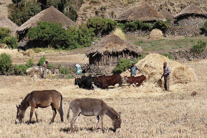 Lalibela 2-Day Eco Trekking Tour - Who Should Book This Tour?