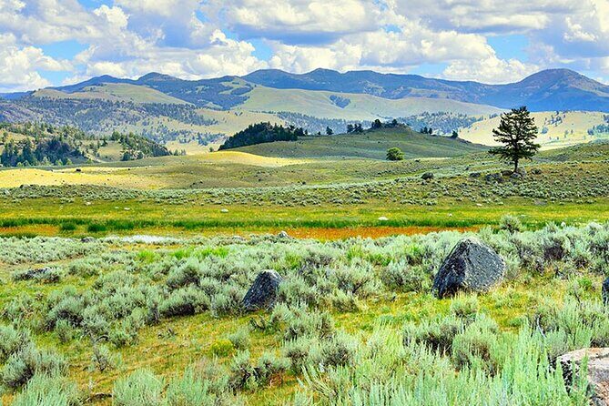 Lamar River Valley Day Hike Tour - Who Would Love This Tour?