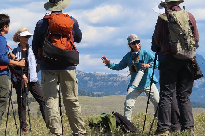Lamar Valley Safari Hiking Tour with Lunch - Authentic Experiences from Travelers