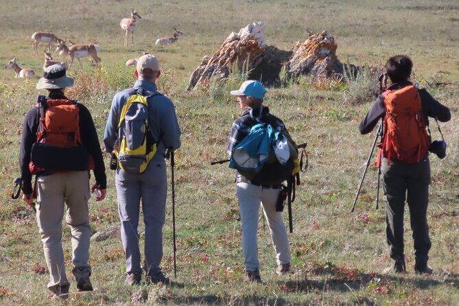 Lamar Valley Safari Hiking Tour with Lunch - The Sum Up