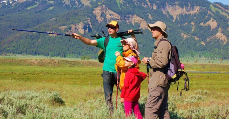 Lamar Valley: Safari Hiking Tour with Lunch - Setting the Scene: What the Tour Entails