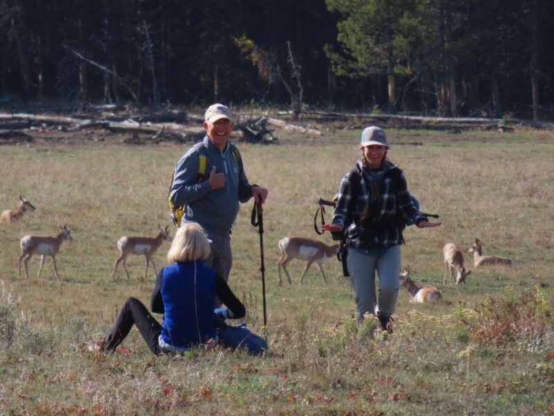Lamar Valley: Safari Hiking Tour with Lunch - Who Will Love This Tour?