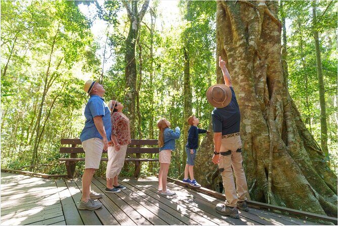 Lamington National Park, O'Reilly's & Vineyard Tour - What Travelers Say: Authentic Experiences and Guide Quality