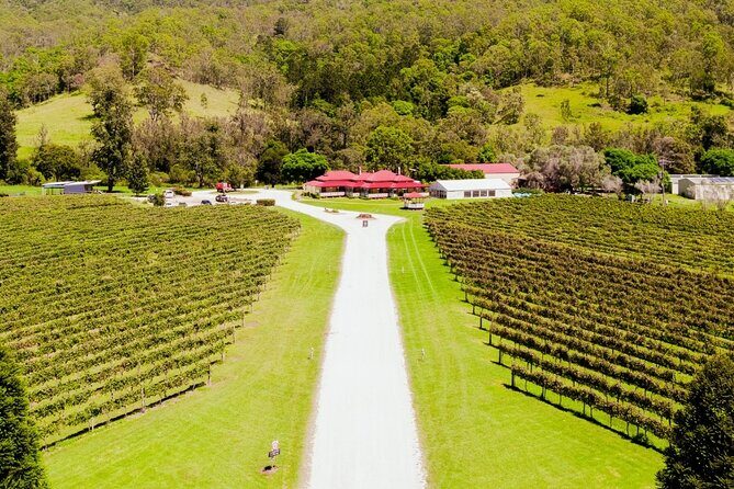 Lamington National Park, O'Reilly's & Vineyard Tour - The Sum Up