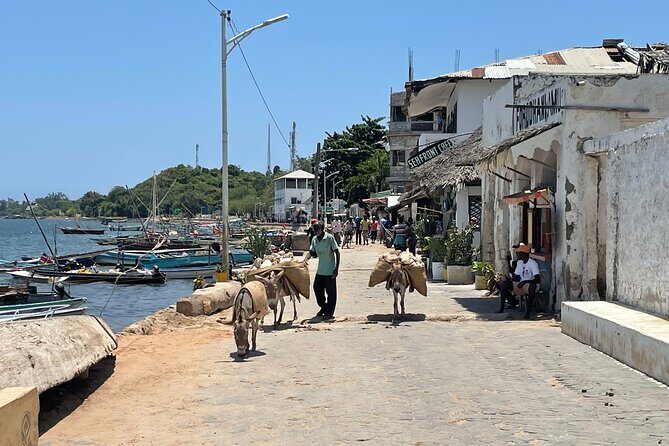 Lamu Old Town Walking Tour - FAQs
