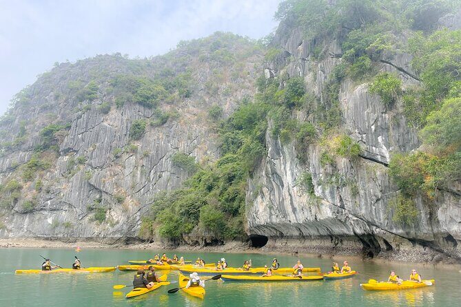 Lan Ha Bay day tour from Cat Ba, Hanoi - Serenity Boutique Cruise - Final Thoughts: Who Will Love This Tour?