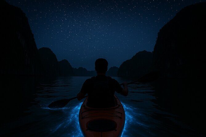 Lan Ha Bay Sunset and Bioluminescent Kayaking Tour - What You Can Expect from the Lan Ha Bay Sunset and Bioluminescent Kayaking Tour