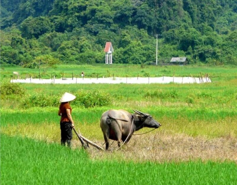 Lan Ha Boutique Cruise 2D1N at the pristine place From Hanoi - Who This Tour Is Best For
