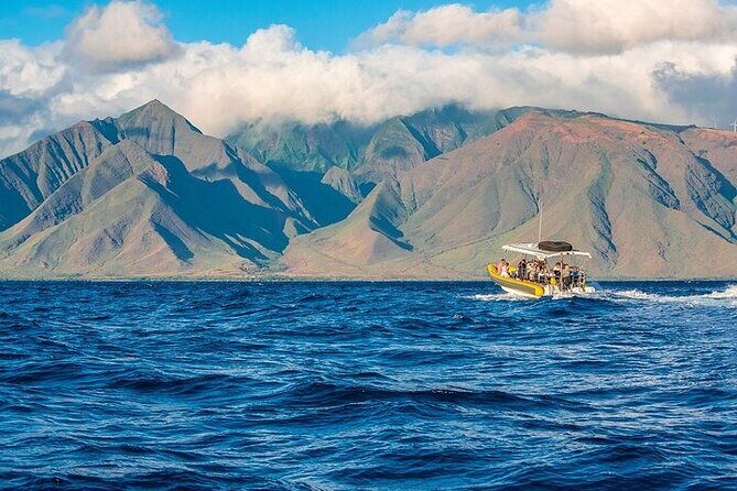 Lanai Deluxe Dolphin Adventure & 3 Snorkel Sites - Why This Tour Stands Out
