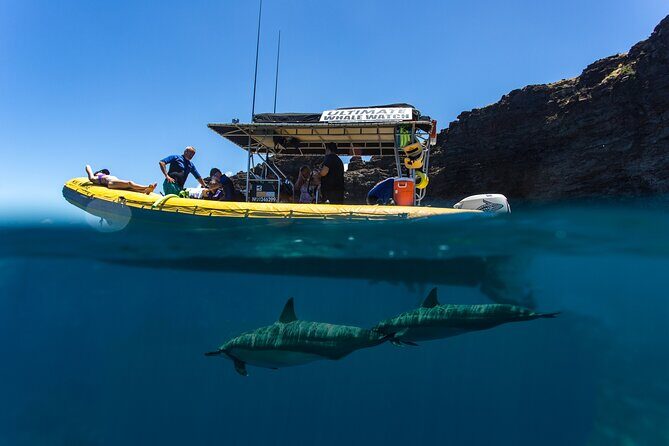 Lanai Deluxe Dolphin Adventure & 3 Snorkel Sites - Final Thoughts