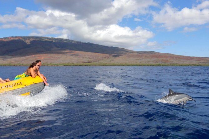 Lanai Deluxe Dolphin Adventure & 3 Snorkel Sites - FAQs
