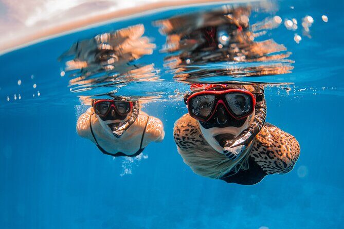 Lana'i Snorkel And Dolphin Quest with Maui Turtle Spot Tour - Comfort, Group Size, and Logistics