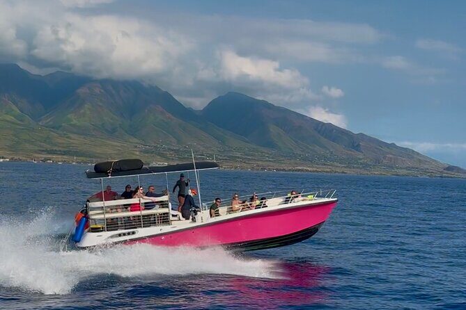 Lana'i Snorkel And Dolphin Quest with Maui Turtle Spot Tour - What the Reviews Say