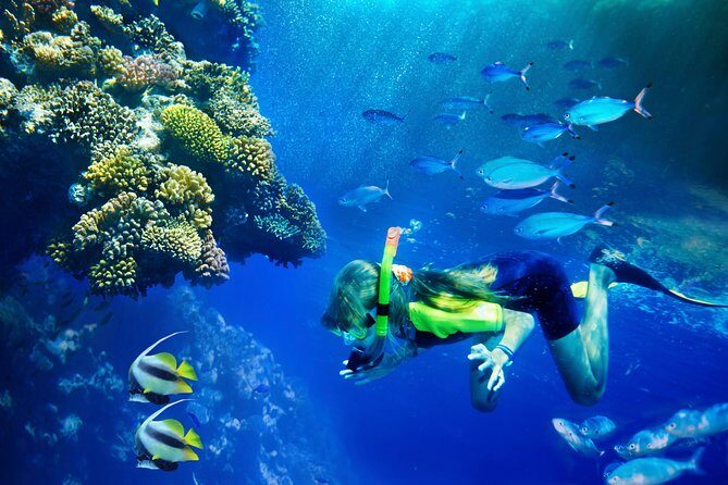 Lanai Snorkel and Dolphin Watch from Maalaea - Introduction
