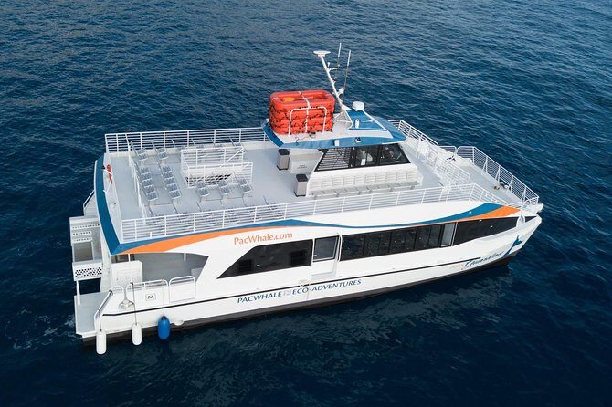 Lanai Snorkel and Dolphin Watch from Maalaea - Final Thoughts
