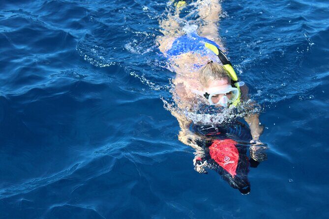 Lanai Snorkeling Half Day with Sea Scooter - An Overview of the Tour Experience