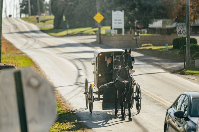 Lancaster: Amish Film, House, and Farmland Experience - Suitable for Who?