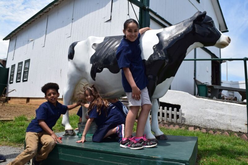 Lancaster County: Amish Farmlands, Museum Tour, Farm Visit - Exploring Lancaster’s Amish Countryside