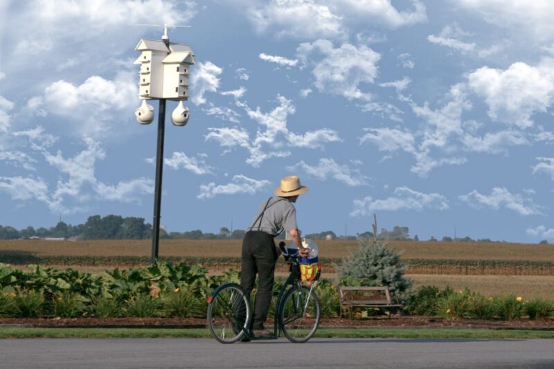 Lancaster County: Amish Farmlands, Museum Tour, Farm Visit - Visiting the 15-Acre Amish Farm
