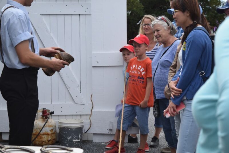 Lancaster County: Amish Farmlands, Museum Tour, Farm Visit - The Experience in a Nutshell