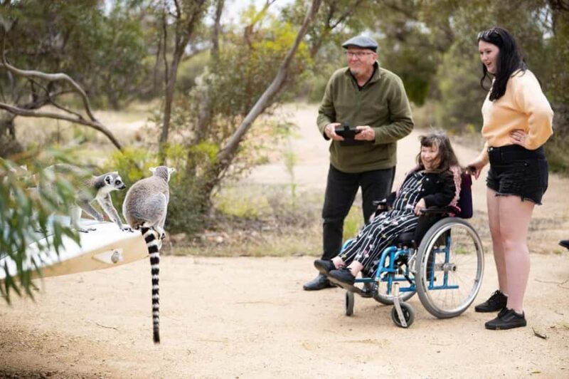 Land of the Lemurs Experience & a Day at Monarto Safari Park - The Value of this Experience