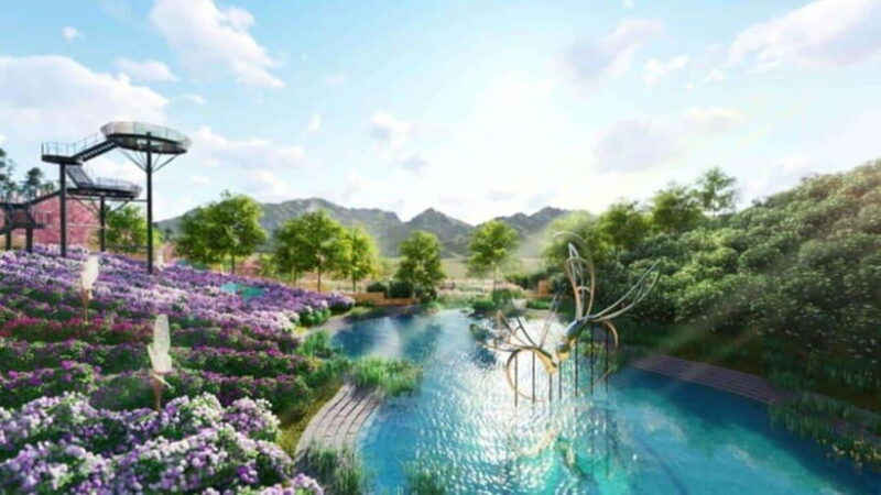 LAND OF THOUSANDS OF FLOWERS IN DA LAT 3D2N - Who Will Love This Tour?