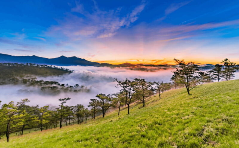 LAND OF THOUSANDS OF FLOWERS IN DA LAT 3D2N - Final Thoughts