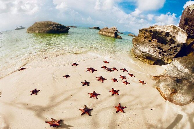 Land Tour 2: Discover the North - Kayaking & Starfish beach Phu Quoc (Not Lunch) - An In-Depth Look at the Tour Itinerary