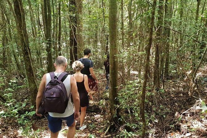 Land Tour 2: Discover the North - Kayaking & Starfish beach Phu Quoc (Not Lunch) - Value and Practical Considerations
