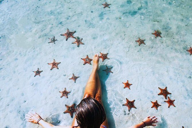 Land Tour 2: Discover the North - Kayaking & Starfish beach Phu Quoc (Not Lunch) - Who Should Consider This Tour?