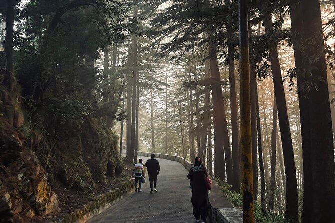 Landour Figure of Eight Walk - Who Should Consider This Tour?