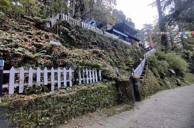 Landour Figure of Eight Walk - The Sum Up