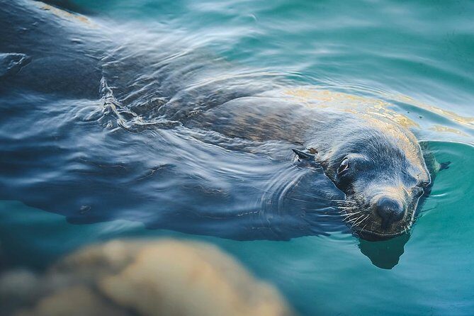 Lands End Experience Arch, Beaches & Marine Life - An In-Depth Look at the Lands End Experience