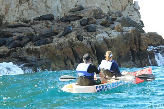 Land's End Snorkel and Kayak Experience! Round Transportation From Los Cabos - An In-Depth Look at the Lands End Snorkel and Kayak Experience