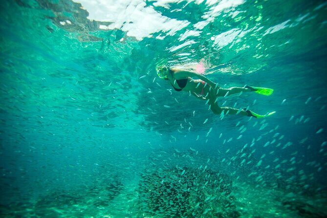 Land's End Snorkel and Kayak Experience! Round Transportation From Los Cabos - Final Summary