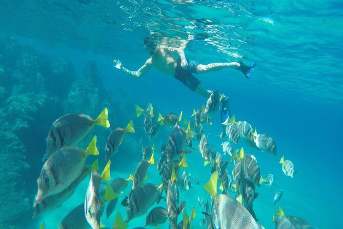Land's End & Snorkel Tour in a Glass Bottom Boat (VisitA Cabo) - Key Points